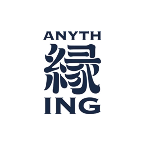 Logo Anything & co